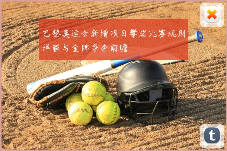 巴黎奥运会新增项目攀岩比赛规则详解与金牌争夺前瞻