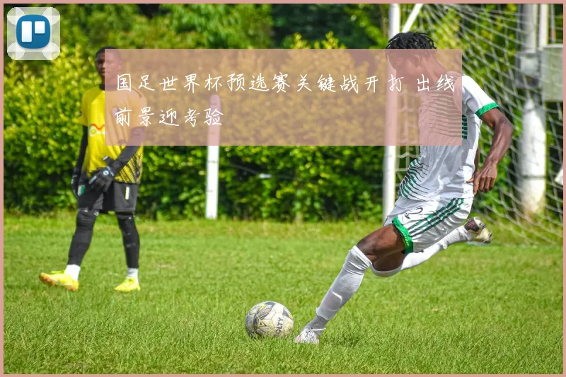 国足世界杯预选赛关键战开打 出线前景迎考验